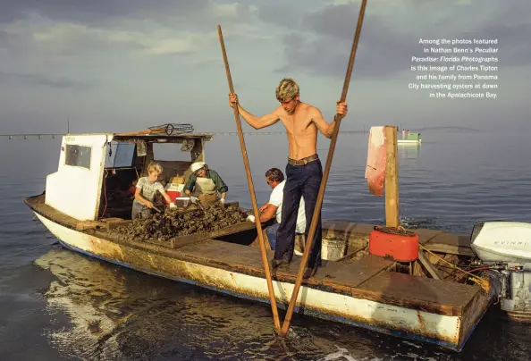  ??  ?? Among the photos featured in Nathan Benn’s Peculiar Paradise:FloridaPho­tographs is this image of Charles Tipton and his family from Panama City harvesting oysters at dawn in the Apalachico­la Bay.
