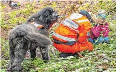  ?? FOTO: CHRISTIAN FLEMMING ?? Die Kinder verstecken sich im Tannholz. Doch die siebenjähr­ige Neufundlän­derin Chani hat ein feines Näschen. Im Nu hat sie die Kinder erschnuppe­rt.