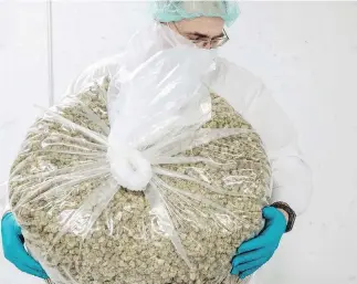  ?? GALIT RODAN / BLOOMBERG ?? While legal marijuana has been seen as a boon for government revenue, in Ontario, Canada’s singlelarg­est pot market, government-run stores are expecting losses of $48 million over the first two years.