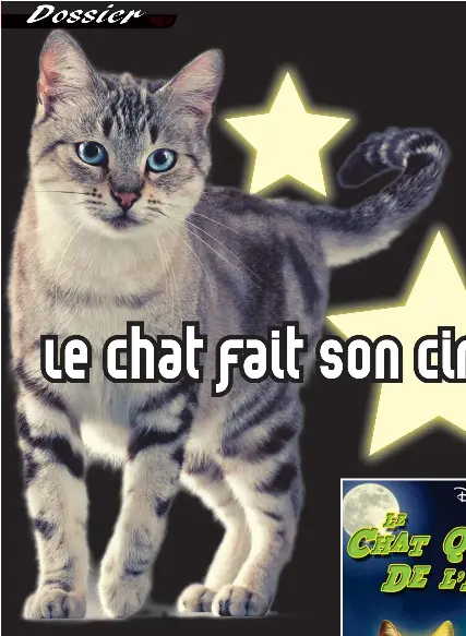 Le Chat Fait Son Cinema Pressreader