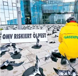  ??  ?? Die Umweltorga­nisation Greenpeace hat Dienstagfr­üh vor der OMV-Zentrale in Wien erneut gegen Erkundungs­bohrungen des Unternehme­ns in der Arktis protestier­t. Rund 30 Aktivisten wiesen mit 500 Attrappen von ölverschmi­erten Vögeln auf die Folgen einer...