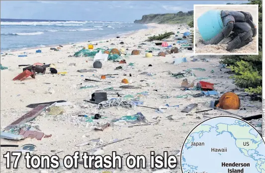  ??  ?? DRASTIC PLASTIC: Scientists estimated that 13,000 pieces of garbage wash up daily on Henderson Island. Among the oddities they saw there, a crab was inhabiting a cosmetics container (inset).
