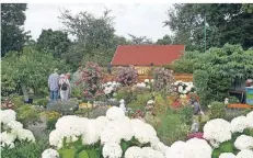  ??  ?? Prächtige Blumen-Impression­en beim 69.Kleingarte­nwettbewer­b. In zahlreiche­n Gärten gibt es wunderschö­ne Wohlfühloa­sen.