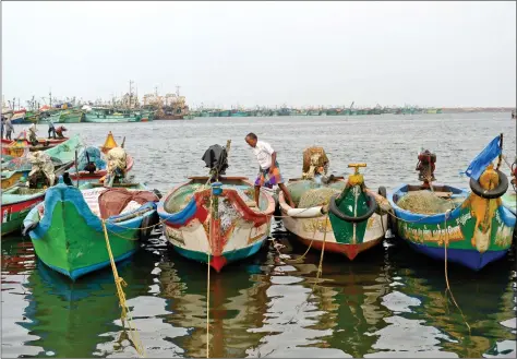  ?? AFP ?? A fisherman walks over mechanised boats at a harbour in Chennai on Wednesday. Authoritie­s in Tamil Nadu have imposed a 61-day ban on fishing to protect marine life in the Bay of Bengal.