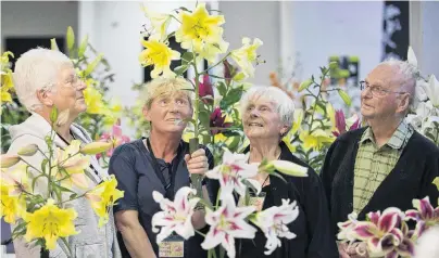  ?? PHOTO: GERARD O’BRIEN ?? Lily lovers . . . Admiring a lily at the Otago Lily Society show at Forbury Park Raceway on Saturday are (from left) society secretary Margaret Dodds, president Louise Ardley and treasurer Margaret Matthews, all of Dunedin, and society member Des Paulson, of Timaru. Below: 1. Candy Club; 2. White Triumph; 3. Orienpet; 4. Henryii via Citronella.