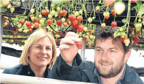  ??  ?? BERRY ENTERPRISE Ross and Anna Mitchell of Castleton Fruit which has been awarded just over £290,000 to upgrade equipment