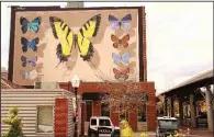  ??  ?? French muralist Youri “Mantra” Cansell painted native butterflie­s at 400 President Clinton Ave. in Little Rock for the OZ Art ARkanvas project.