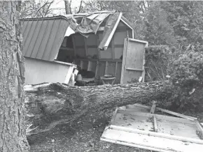  ?? COLUMBUS DISPATCH ?? High winds downed trees, including this one in Clintonvil­le, and knocked down power lines across Ohio on Sunday, leaving thousands without electricit­y.