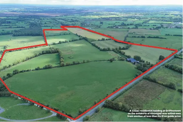  ??  ?? A 132ac residentia­l holding at Griffinsto­wn on the outskirts of Kinnegad was withdrawn from auction at less than its €1m guide price