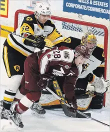  ?? CLIFFORD SKARSTEDT/EXAMINER ?? Peterborou­gh Petes captain Logan DeNoble is crosscheck­ed by Nicolas Mattinen on Saturday. The Bulldogs won their regular season finale 5-3. They face Ottawa at home on Thursday in Game 1 of the playoffs.