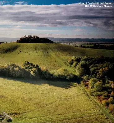  ?? HEDLEY THORNE ?? View of Castle Hill and Round Hill, Wittenham Clumps