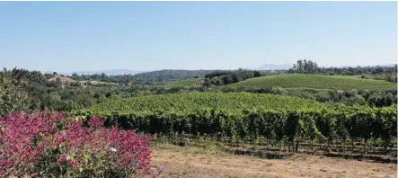  ?? Photos: For the Calgary Herald ?? The Iron Horse Vineyards are a must-see in the Russian River Valley, an area of Sonoma that is more off-the-beaten track than the better-known Napa Valley.