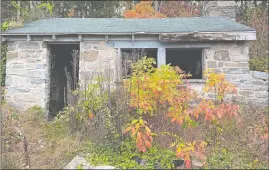  ?? BETSY GRAHAM ?? Weeds and vines begin to overtake an abandoned hunter’s cabin on the property.