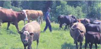  ??  ?? Les travailleu­rs de rang rencontren­t les familles agricoles en détresse et les accompagne­nt dans le cadre d’une relation d’aide.