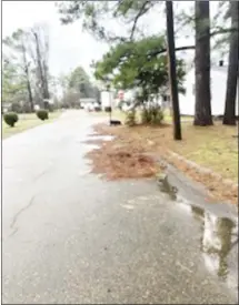  ?? Submitted Photo ?? Yard debris can be seen along the side of a city street in a local neighborho­od. The city’s public works department is again reminding residents to not place yard debris in the streets, but instead on the curbs in front of their homes.