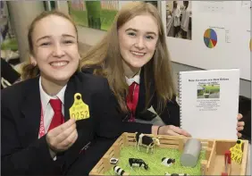  ??  ?? Aoife McBride and Alice Keenan from St Mary’s College, Arklow.