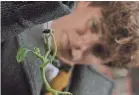  ?? WARNER BROS. ?? Newt (Eddie Redmayne) plays with Pickett.