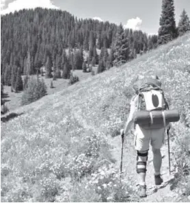  ?? Dan Leeth, Special to The Denver Post ?? Dianne Leeth hikes through the flower-covered hillside on Sun Park Trail in theWest ElkWildern­ess Area of Gunnison National Forest.