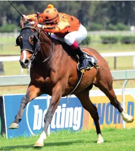  ?? Picture JC Photograph­ics ?? COOL CHOICE. Polar Ice in Race 7 at the Vaal Classic track tomorrow could give punters a banker for exotic bets.