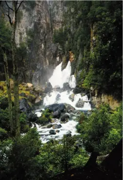  ?? ?? Above right: Tarawera Falls.