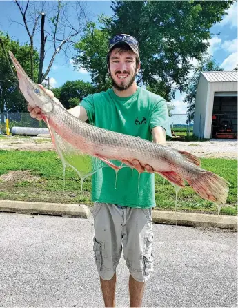  ?? PROVIDED ?? Austin White caught his Illinois-record spotted gar on Aug. 13 in Monroe County.