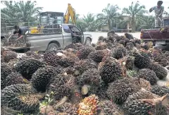  ?? SEKSAN ROJJANAMET­AKUN ?? Palm fruit for sale at a market in Krabi province.