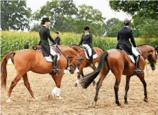  ?? RP-FOTO: GOTTFRIED EVERS ?? Konzentrie­rt bereiteten sich auf dem Abreitepla­tz die Dressurrei­terinnen auf ihre Prüfungen vor.