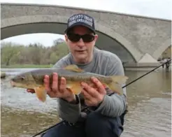  ??  ?? Avid angler David Clark holds a white sucker near the Old Mill Bridge.