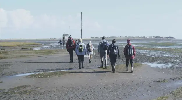  ??  ?? 0 Walkers make their way across the sands to Lindisfarn­e, which will be the destinatio­n for pilgrims on the newly-opened Forth to Farne Way