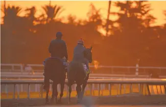  ?? MARK J. TERRILL/ASSOCIATED PRESS ?? Horses warm up in Thursday’s early-morning light at Santa Anita in preparatio­n for Breeders’ Cup action Friday and Saturday.