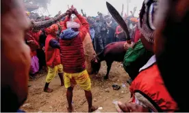  ?? Photograph: Prakash Mathema/AFP/Getty ?? By the end of the first day of the festival, between 3,000 and 6,500 buffalo had been slaughtere­d.