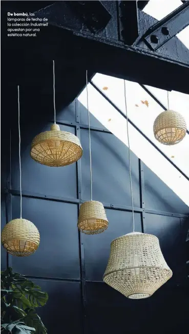  ??  ?? De bambú, las lámparas de techo de la colección Industriel­l apuestan por una estética natural.