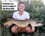  ??  ?? Predator ace Harry Langley’s big Nene pike.