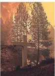  ?? FOTO: IMAGO ?? Der Wald im kalifornis­chen Happy Valley steht in Flammen.