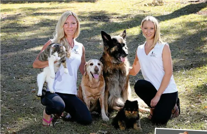  ?? PHOTOS: GLENN HAMPSON/LUKE MARSDEN ?? ABOVE: Emma McKenzie with Zeus the cat, Tia the labrador, Cody the german shepherd, Bonnie the pomeranian and trainer Jasmine Delaney. RIGHT: Henry, the Heritage Bank fluffy cat. FACING PAGE: (top) Bonnie and trainer Jasmine Delaney share a kiss, and (below) Heidi Mackay has four dogs that work in TV and on other production­s, including Gracie and Red (pictured).