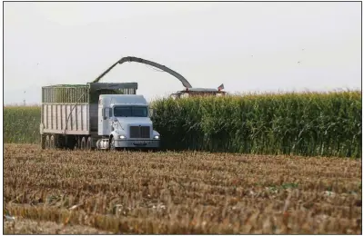  ?? (AP/Darryl Webb) ?? A harvesting machine mows down rows of corn on a farm in Casa Grande, Ariz., in July. The U.S. Bureau of Reclamatio­n is expected to declare the first-ever mandatory cuts from the Colorado River, which supplies such farms, for 2022. Video at arkansason­line. com/813rivercu­ts/.