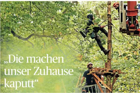  ?? FOTO: REUTERS ?? Knapp einen Monat vor Beginn der möglichen Rodungen hat es im Hambacher Forst die ersten Räumungen gegeben.