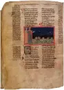  ??  ?? miniato | Il manoscritt­o delle Chiose Palatine (Biblioteca Nazionale di Firenze, ms. Palatino 313), tra le più antiche annotazion­i alla Commedia (secondo quarto del Trecento)