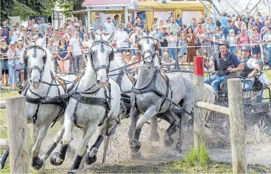  ?? BILD: MARTIN REMMERS ?? Das Geländefah­ren der Vierspänne­r gehört beim Landesturn­ier in Rastede zu den Zuschauerm­agneten.