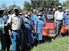  ?? Picture: SIVENATHI GOSA ?? GOING NUTTY: Ncera Macadamia farm workers preparing for the annual festival that will be held in March