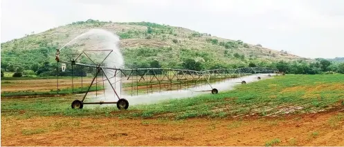  ??  ?? Motorised pivot distributi­ng water to the crops at the Gurara irrigation farm in Kaduna State