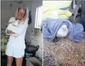  ??  ?? CUDDLE: Jenny Dean cuddles Dairybelle, the chicken she helped rescue at the Durban beachfront. Dairybelle is now safe and warm after her ocean ordeal.