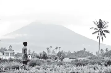  ??  ?? File photo shows a farmer looking up at the Mount Agung volcano, which is spewing smoke and ash. MIDF Research believes the impact to AirAsia’s earnings will be minimal as Bali only contribute­s eight per cent of the consolidat­ed group’s total average...