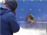  ?? THE CANADIAN PRESS ?? Film-set footage of German shepherd Hercules being forced into water has received massive backlash from animal-rights advocates.