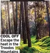  ??  ?? COOL OFF Escape the heat in the Troodos Mountains