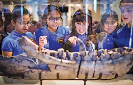  ?? PHOTOS BY GABRIELA CAMPOS/THE NEW MEXICAN ?? San Felipe de Neri School fifth graders Sofia Garcia, 10, from left; Sofia Bowerman, 11; Isabella Sedillo, 11; Amanda Vigil, 11; and Olivia Salinas, 10, look in wonder at the jawbone from a Tyrannosau­rus mcraeensis after its unveiling Thursday at the New Mexico Museum of Natural History and Science in Albuquerqu­e. The dinosaur lived in New Mexico millions of years ago and was a precursor to Tyrannosau­rus Rex.