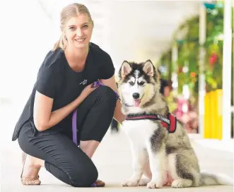  ?? Picture: ZAK SIMMONDS ?? PUPPY POWER: Helena Jimmieson with therapy dog in training Alika, a four- month- old Alaskan malamute.