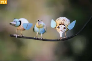  ??  ?? f/1.4At the widest aperture on the lens of f/1.4, the depth of field is so tight that only one of the birds remains sharp, and the background is thrown way out of focus