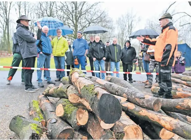  ?? FOTO: JÜRGEN MOLL ?? Brennholz ist beliebt. Und trotz des regnerisch­en Wetters kamen an die 20 Interessie­rte, um sich gegenseiti­g zu überbieten.