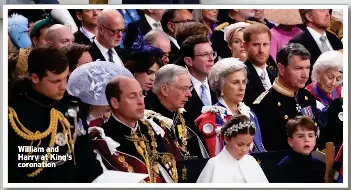 MEGHAN WANTS TO APOLOGISE FOR ‘LOW BLOW’ COMMENT | Daily Express ...